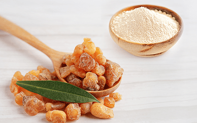 Boswellia