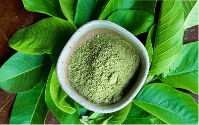 Guava Leaves