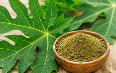 Papaya Leaves