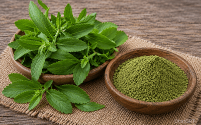 Stevia