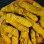 turmeric india